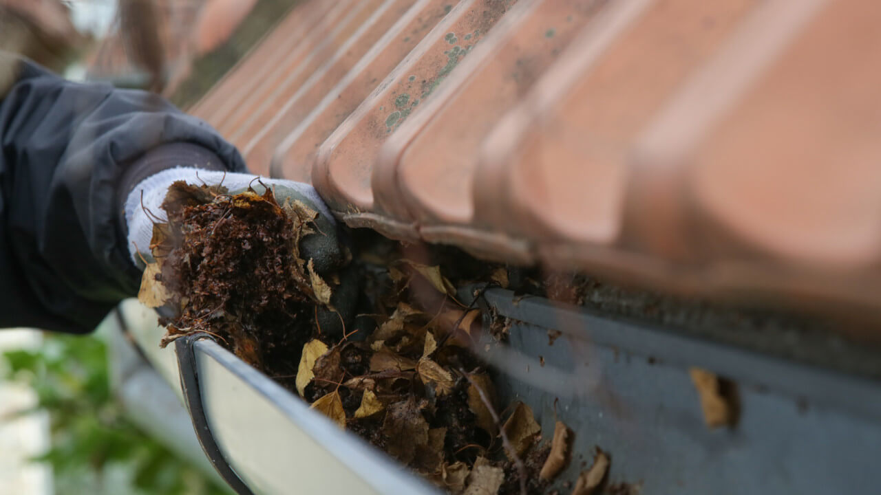 Benefits of Clean Gutters