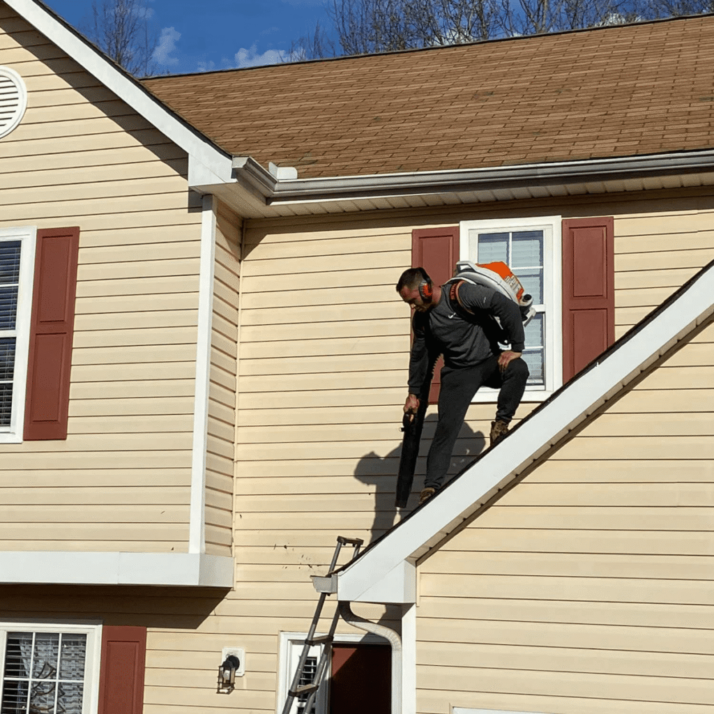 Gutter Cleaning