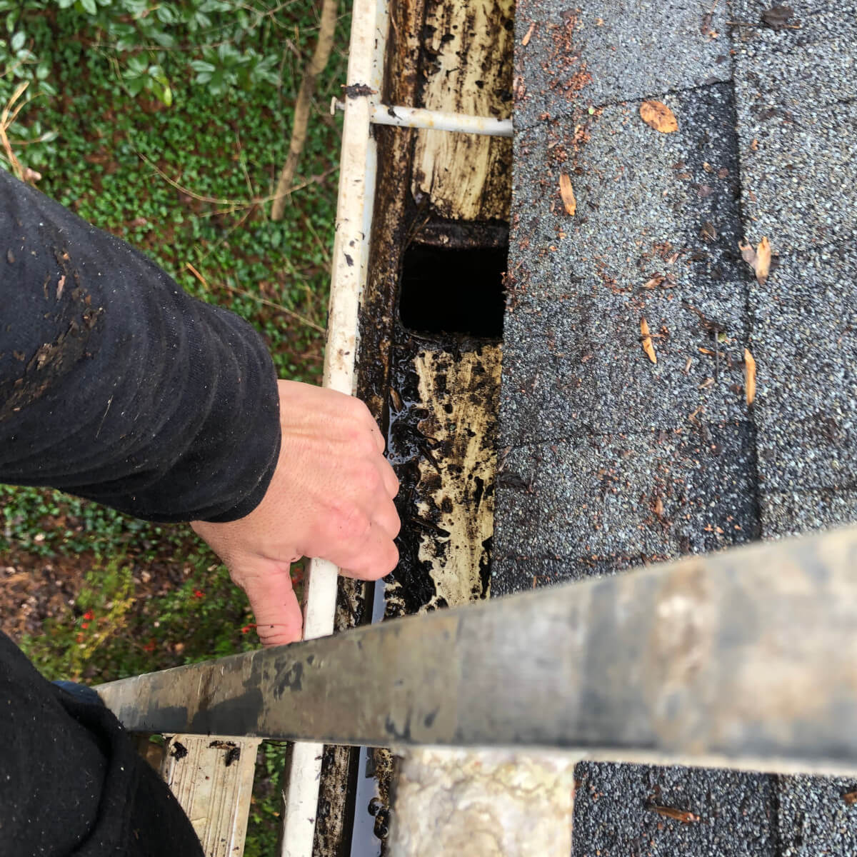 Gutter Cleaning