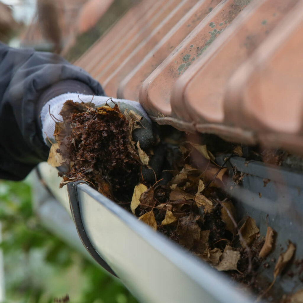 Gutter Maintenance