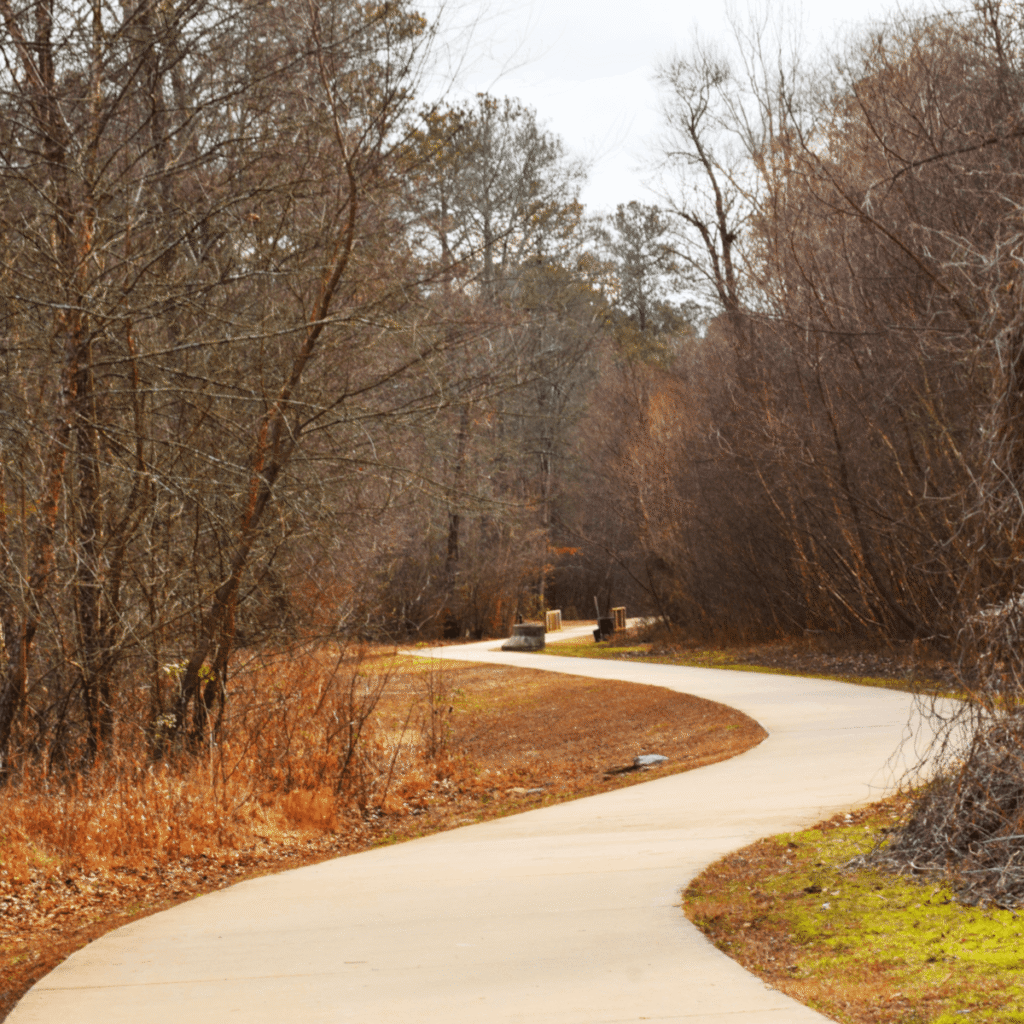 Woodstock, GA Gutter Cleaning
