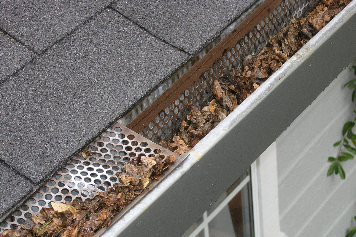 Different Types of Gutter Guards
