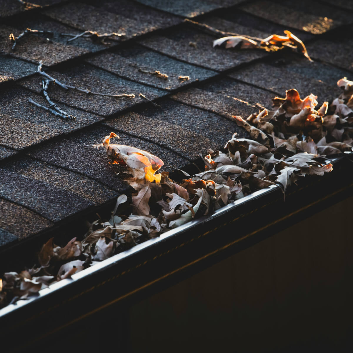 Gutter Cleaning Cost in 2026