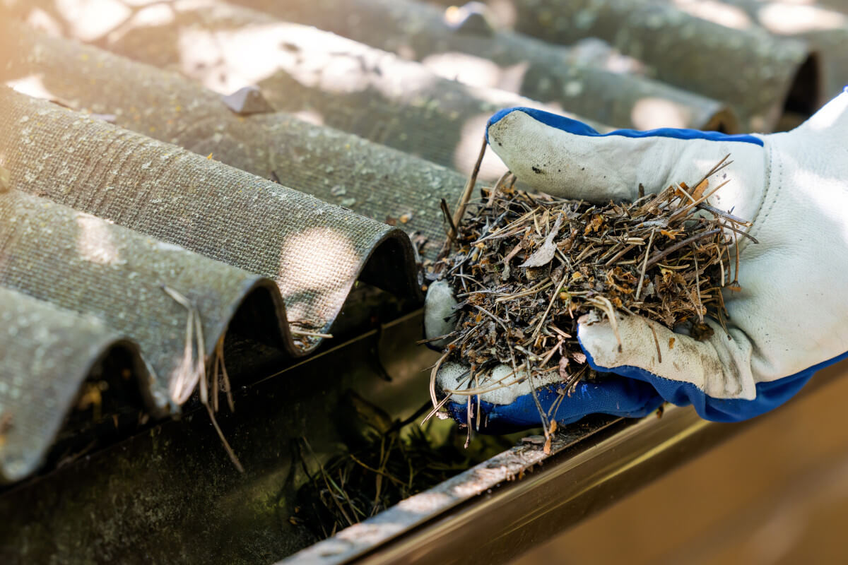 Gutter Cleaning Cost in Metro Atlanta