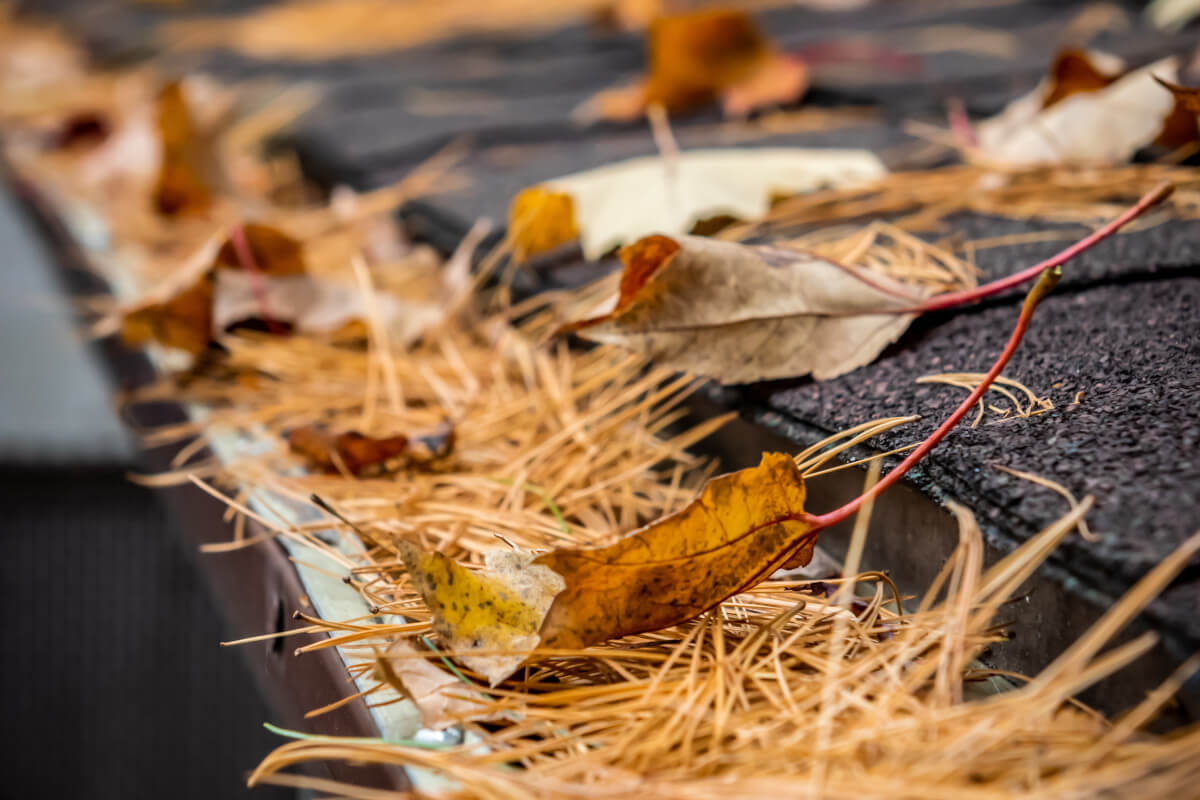 Gutter Guards for Pine Needles