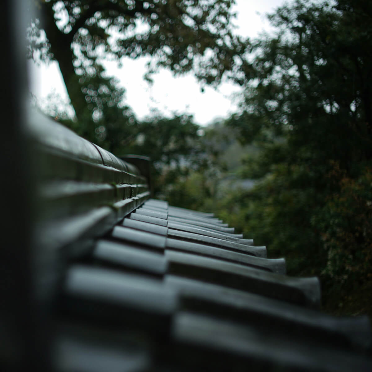 Gutter Replacement