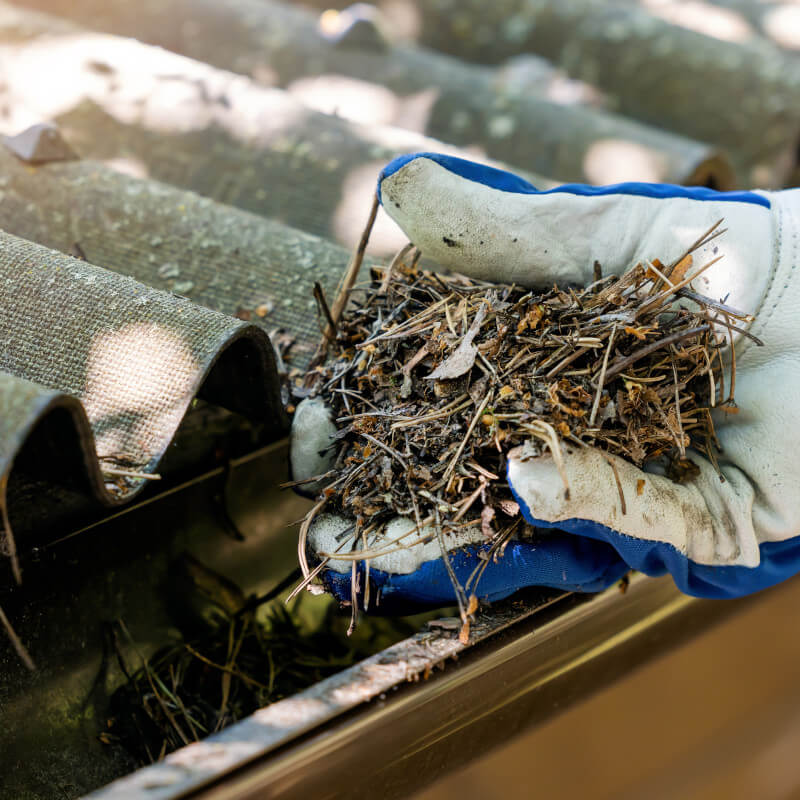 How Much Does Gutter Cleaning Cost