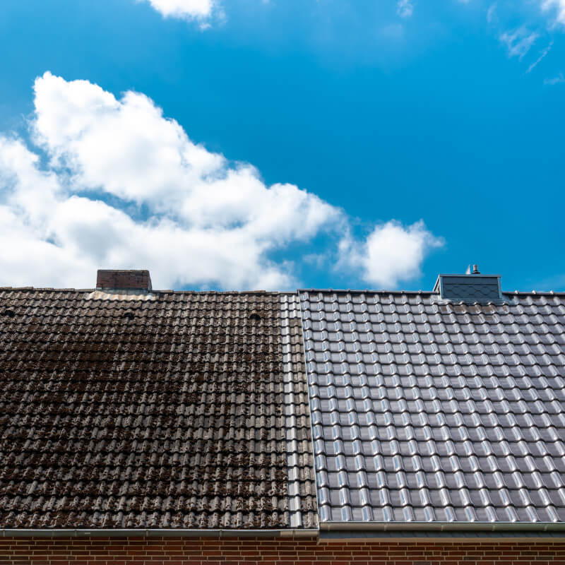 Roof Cleaning
