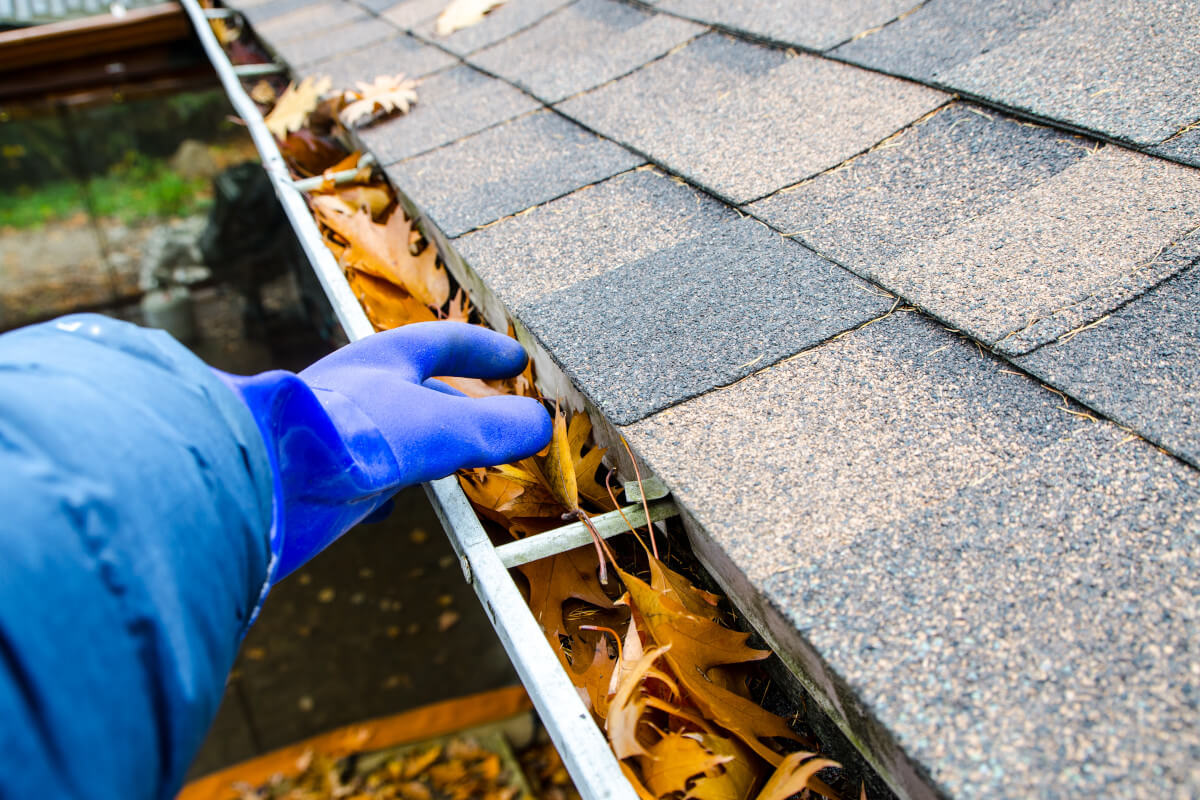 Roof & Gutter Cleaning in Metro Atlanta