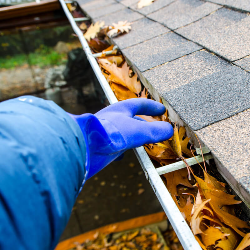 Roof & Gutter Cleaning