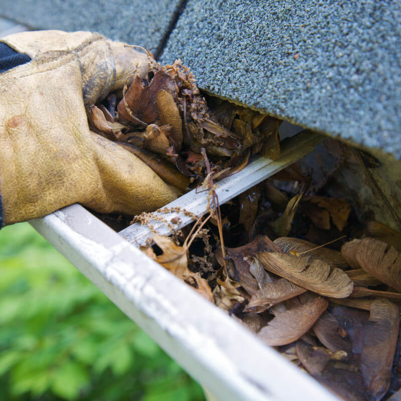Cleaning Clogged Gutters