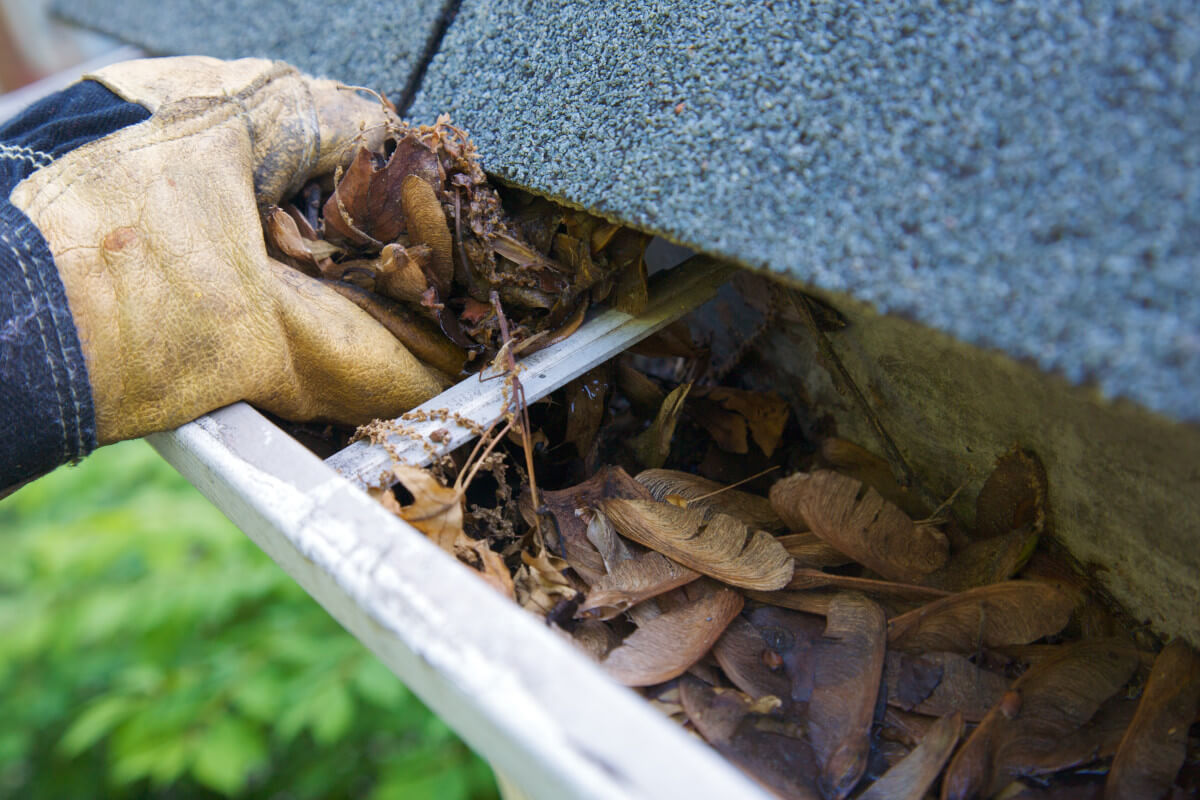 Clogged Gutter Cleaning