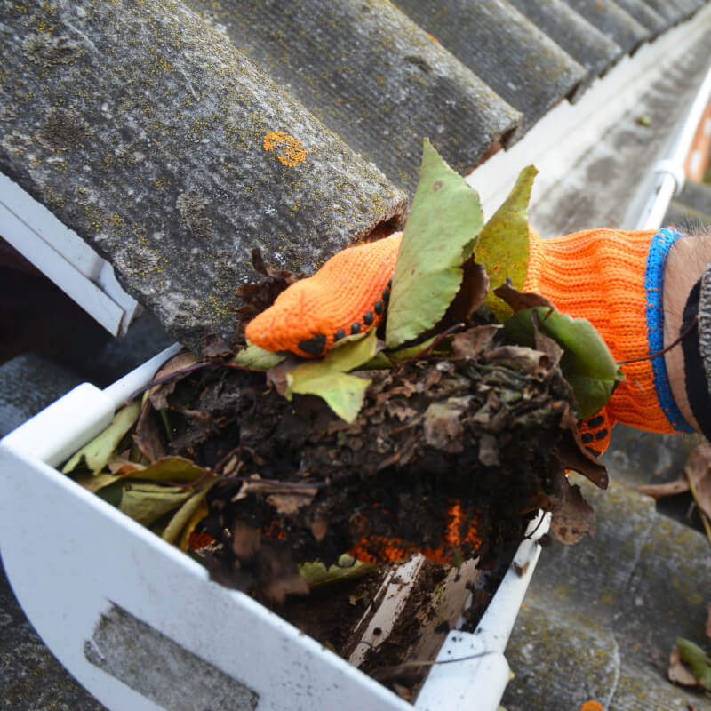 Clogged Gutters
