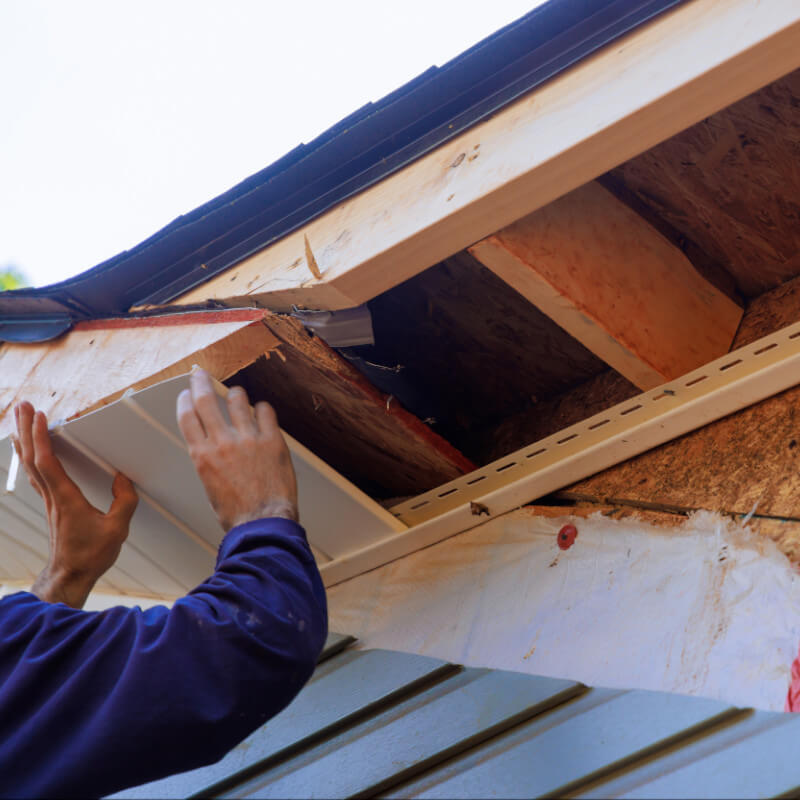 Fascia & Soffit Repair