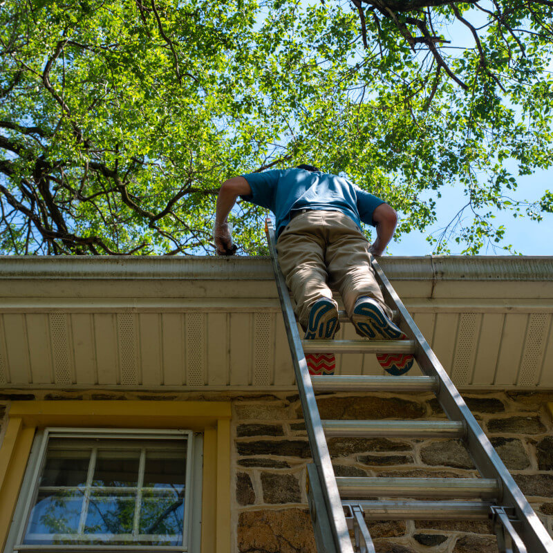 Gutter Cleaning & Repair