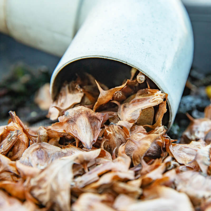 Gutter Drainage Problems