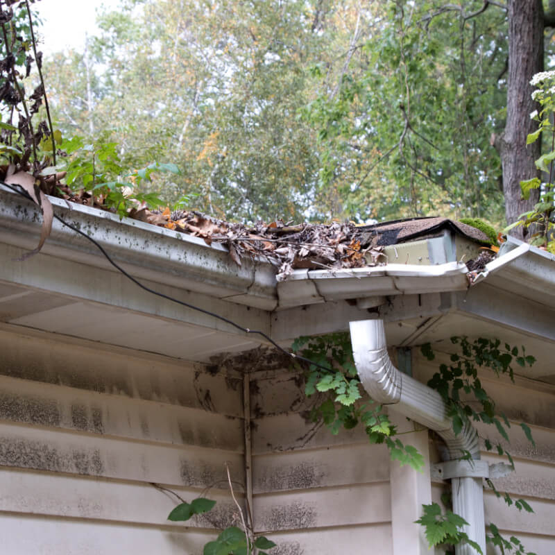 Our Emergency Gutter Repair Process