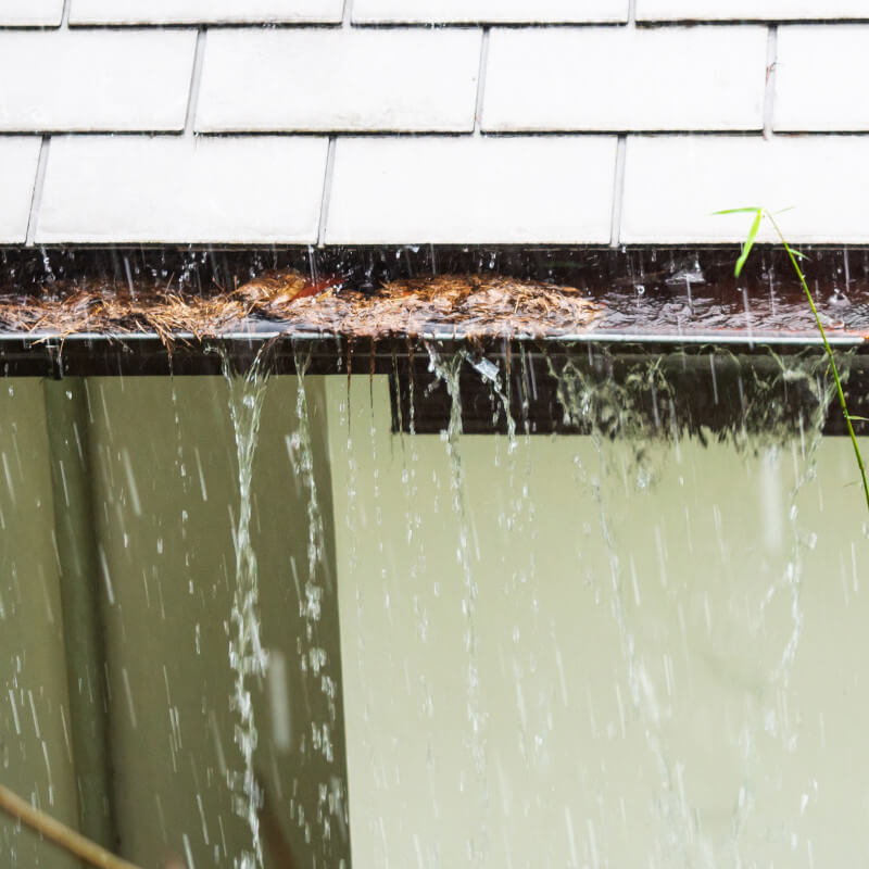 What Happens If I Dont Clean My Gutters