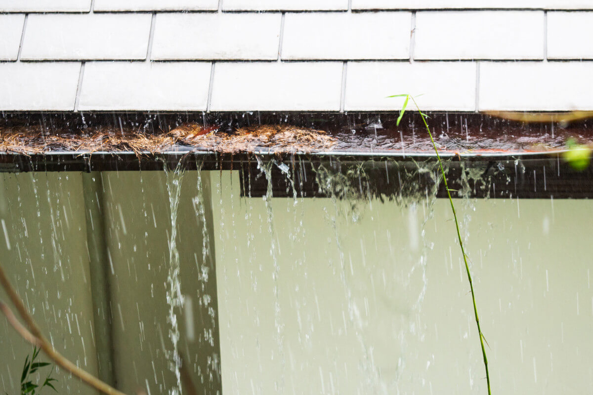 What Happens If You Dont Clean Your Gutters